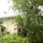 Rumah Mayflower