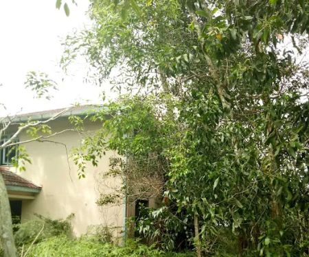 Rumah Mayflower