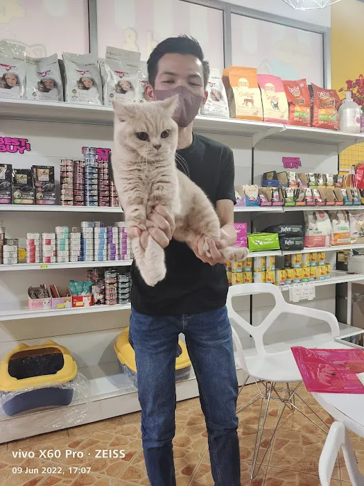 Mr & Mrs Cat Hotel Picture 10