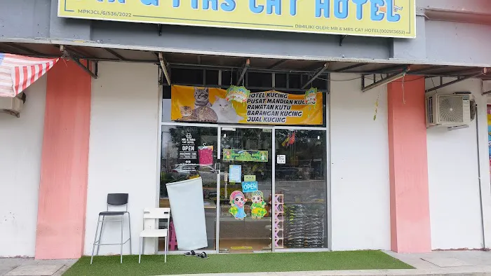 Mr & Mrs Cat Hotel Picture 6