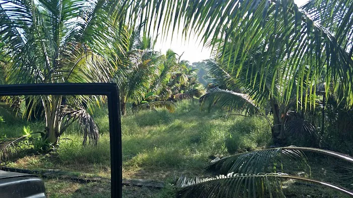 Wakaf Lichong Homestay Picture 1