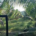 Wakaf Lichong Homestay
