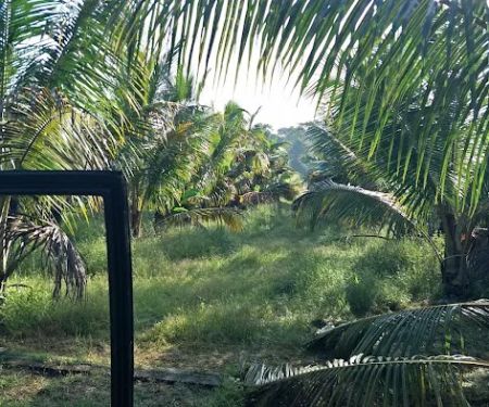 Wakaf Lichong Homestay