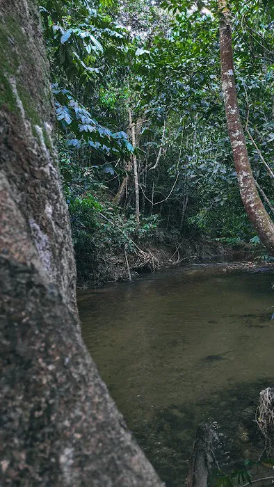 Tok'Ba Campsite Picture 3