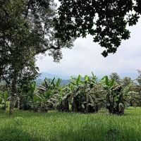 Pak Uda D’tamu ico