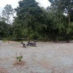 Sekangkang Kera Hulu Tamu