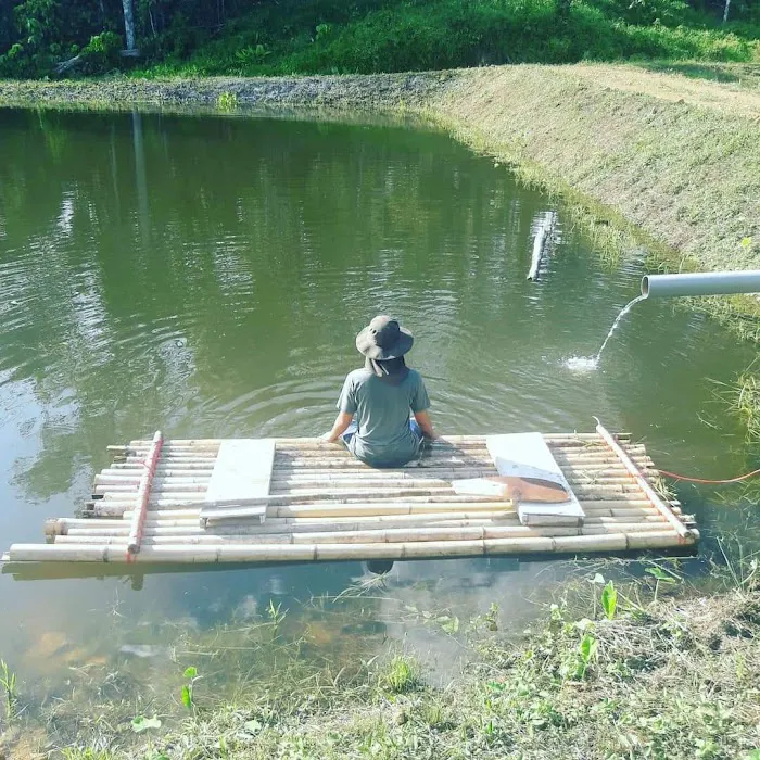 Hulu Tamu Eco Resort Picture 6