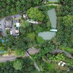 Intan Putri Eco Farm