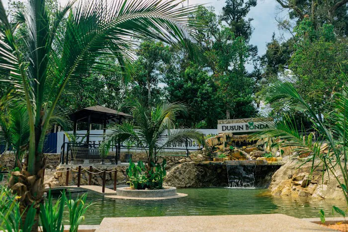 Dusun Bonda Picture 10