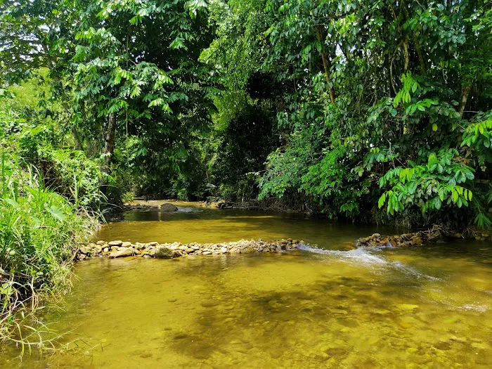 Dusun Bonda Picture 9