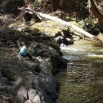 Taman Eko Rimba Ulu Tembeling