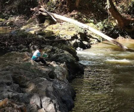 Taman Eko Rimba Ulu Tembeling