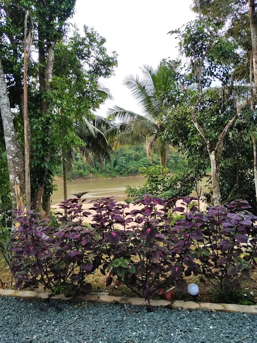 Sat Riverview Guest House Picture 10
