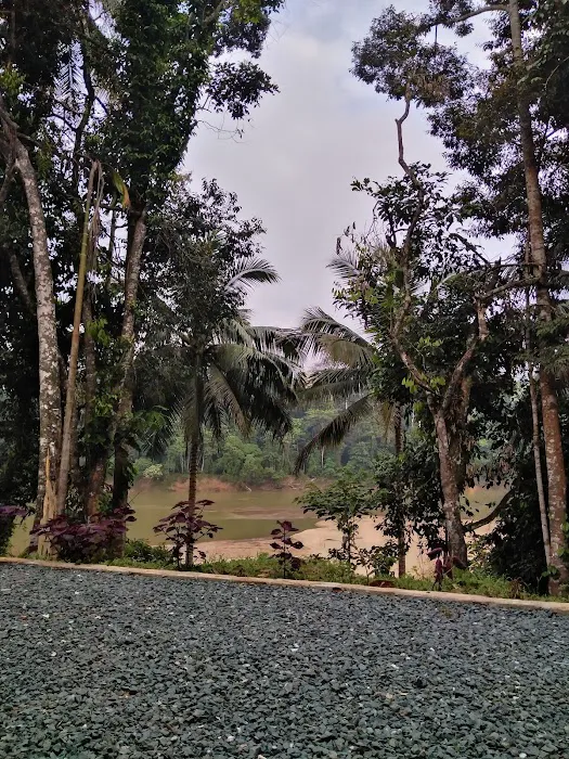 Sat Riverview Guest House Picture 8