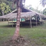 Sat Lodge & Services