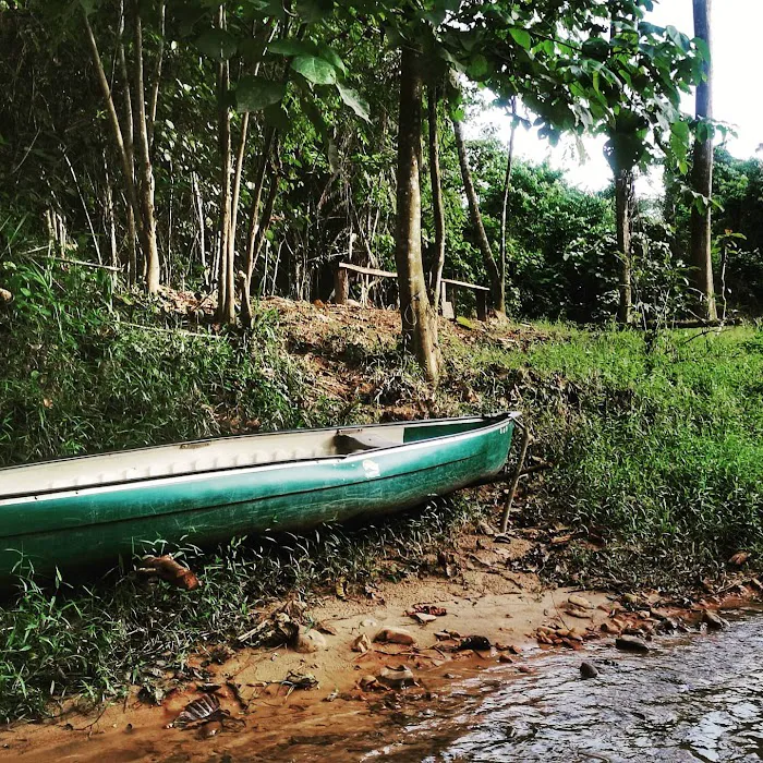 Apoi Island Basecamp Kampung Pagi Picture 3