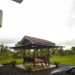 Paddy's Homestay