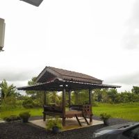 Paddy's Homestay ico