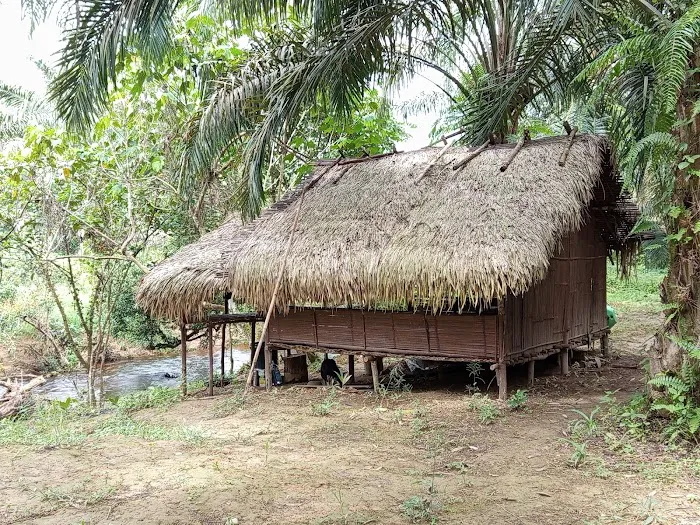 Jahut's Campsite Picture 9