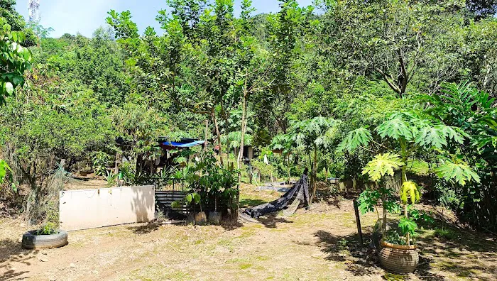 Kelumpuk Jerijit D PDRM Picture 2
