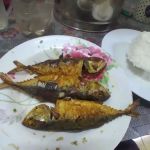Teratak Bonda