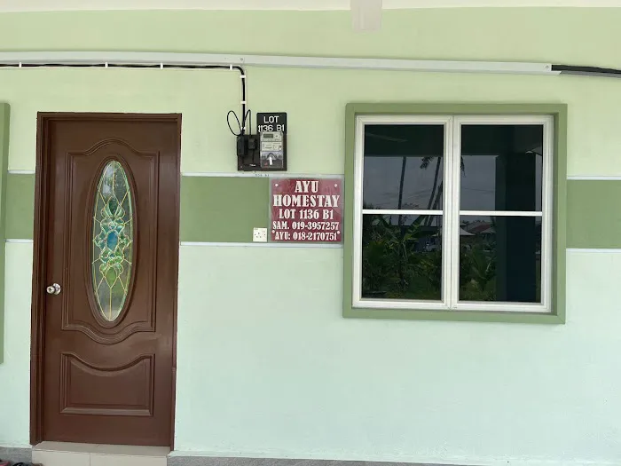 Ayu homestay Picture 4