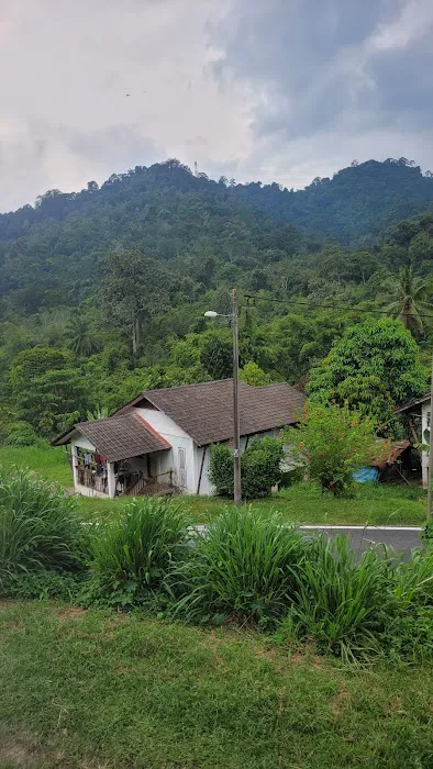 The Fusion Longhouse Picture 7