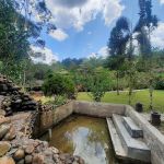 Riverwood Holiday Homes