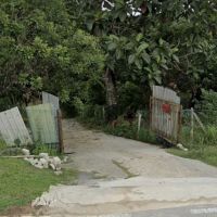 Kebun Tok Teh & Nenda ico
