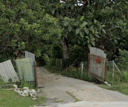 Kebun Tok Teh & Nenda