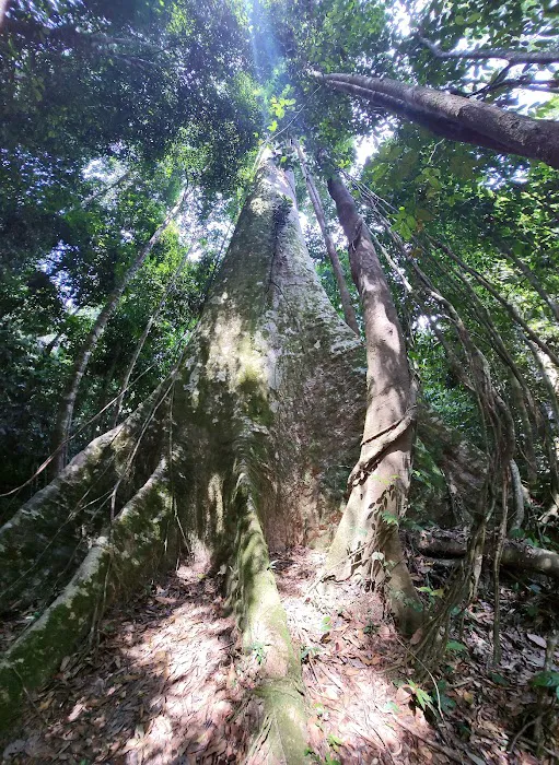Hana Guest House Picture 5