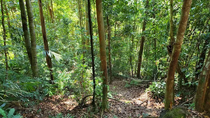 Hana Guest House Picture 10