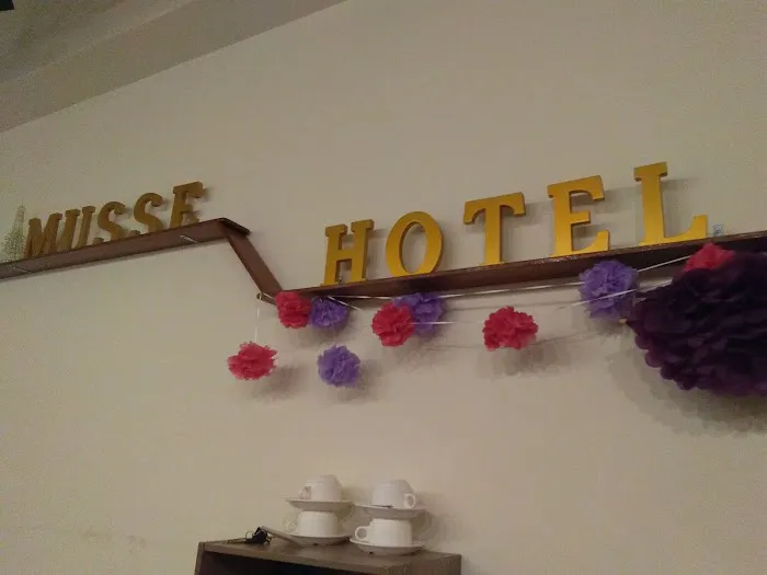 Musse Hotel Picture 6