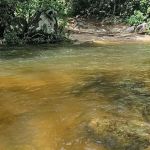 Campsite sungai seladang Tg Malim