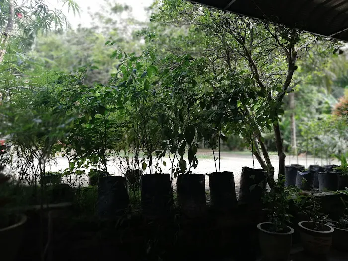RUMAH REHAT SEMENTARA MAK MAH Picture 3
