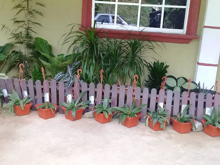 Homestay D'Perantau Picture 2
