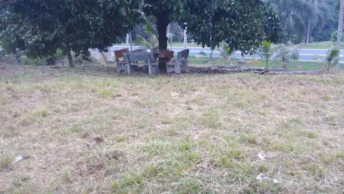 Ganevas Homestay Picture 2
