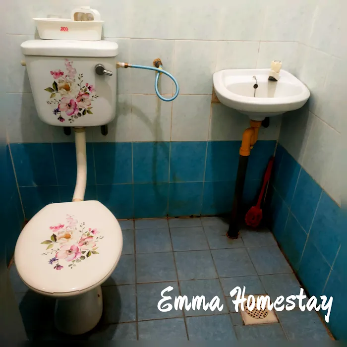 Emma Homestay Keratong Picture 8