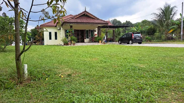 D'Kampung Homestay Sungai Buaya Picture 7