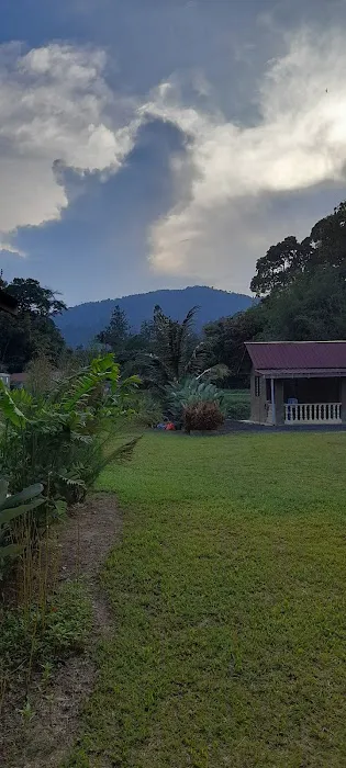 Kuala Tampit Chalet Picture 1