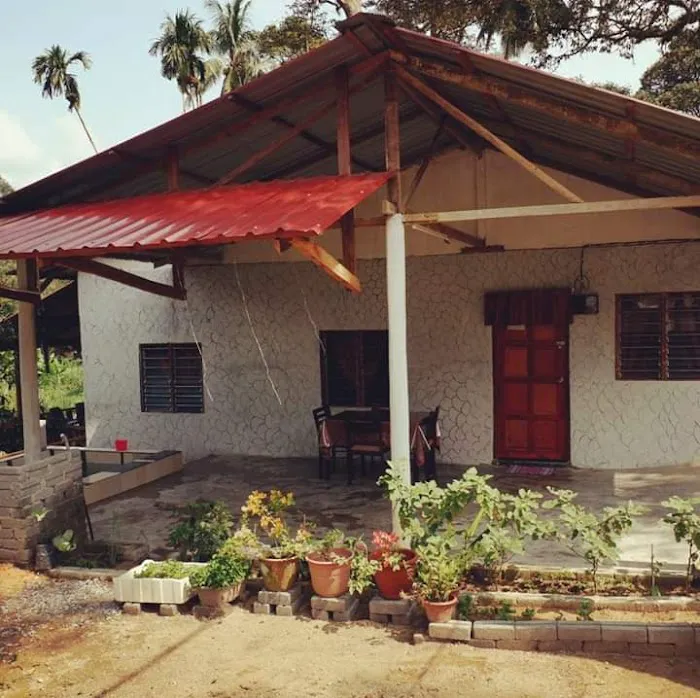 Chu Mon's Homestay Picture 1