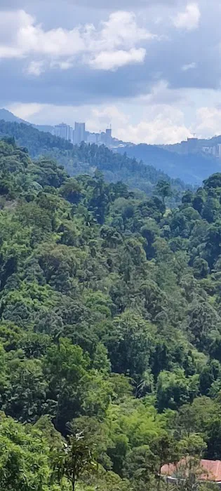 Kebun Rimba Rainforest Discovery Centre Gate B Picture 6