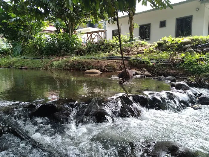 Laman Cik TeT Janda Baik Picture 4