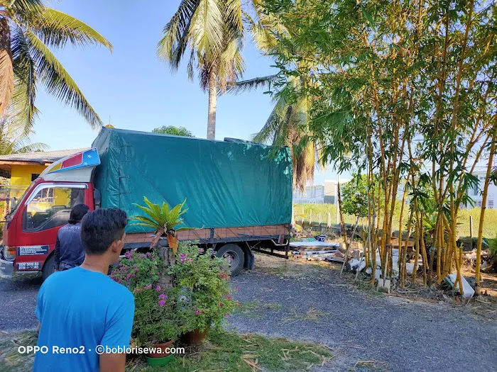 Bamboo Kuning Homestay Picture 8