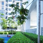 Shamelin Star Residences Rigel