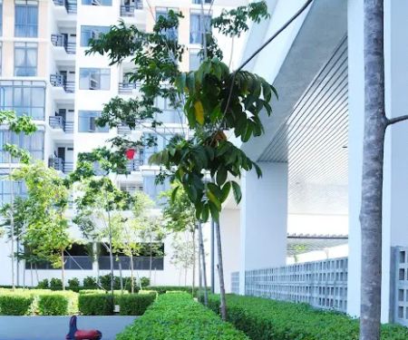 Shamelin Star Residences Rigel