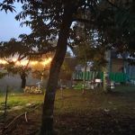 P4 peaceful campsites