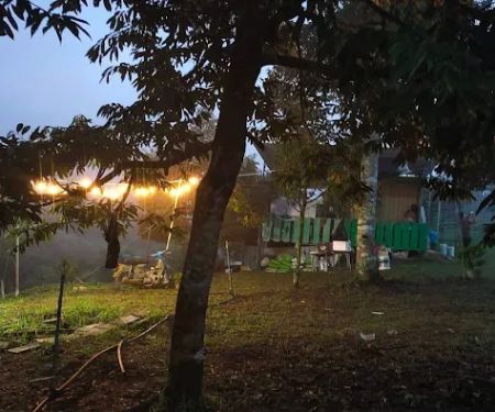 P4 peaceful campsites