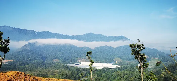 JT Dusun Picture 4