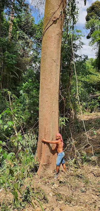 JT Dusun Picture 10